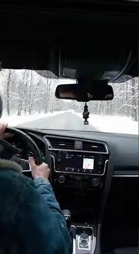 Bison Smashes Windshield Into Car POV