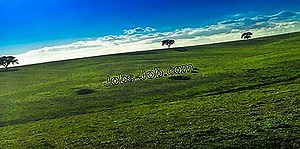 Descrição Do Trabalho De Taxonomista | Descrição do trabalho - 2026