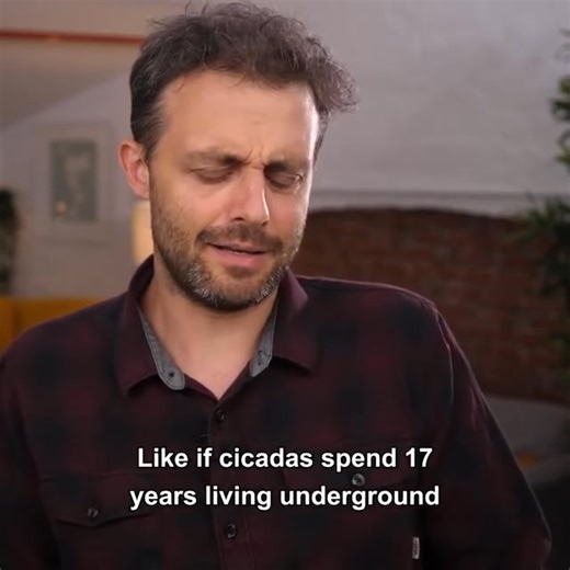 16K views · 480 reactions | How Oak Trees Manipulate Squirrels....