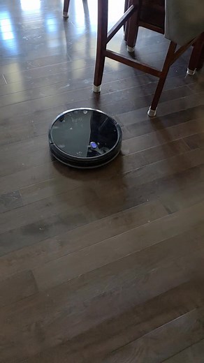 Tell me you own 3 cats without telling me you own 3 cats. 🤣 #alldayeveryday | Aimee Myers Peters