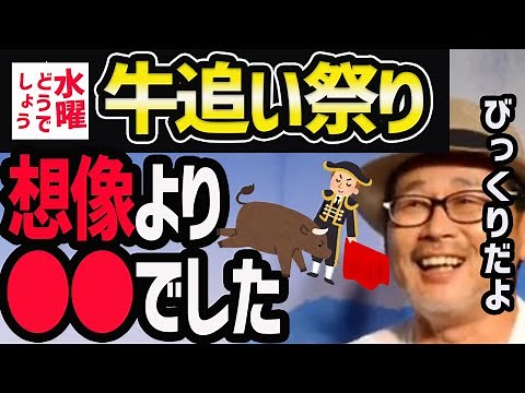 【水曜どうでしょう】牛追い祭りにいってたら大変だった。西表島【水曜どうでそうTV】ロビンソン/虫追い祭り/藤村/うれしー