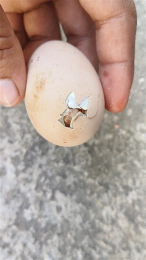 Rescue Dying baby inside egg#shorts#viral