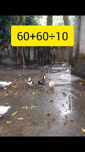 23K views · 255 reactions | Basic Math ️ #rahibamathacademy #reelsfypシ #viralreelschallenge #mathschallenge #mathematics | Rahiba Math Academy | Facebook