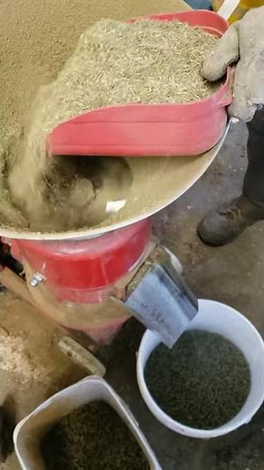 Alfalfa Pellets - 03