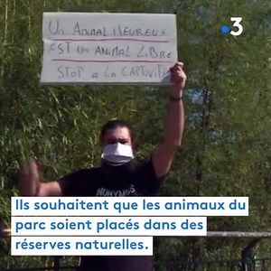 26K views · 48 reactions | Les associations Rando pour la planète et Vegan Impact militent pour la fermeture du zoo du Parc de la Tête d'or. En savoir plus : https://france3-regions.francetvinfo.fr/auvergne-rhone-alpes/rhone/lyon/zoo-parc-tete-nouvelle-action-militants-cause-animale-prevue-dimanche-1872576.html Ville de Lyon | France 3 Rhône-Alpes | Facebook