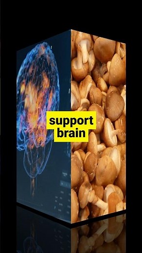 This Mushroom Protects Your Brain 🍄🧠 (Science-Backed)