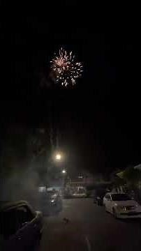 100 SHOT FLYING FOUNTAIN | LCM