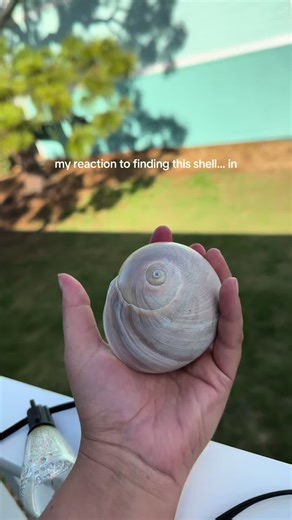 Shell hunters know the feeling . I was blessed by the shell gods today in finding this huge sharks eye! #seashells #shelling #florida #beach #shells