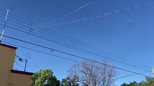 13K views · 260 reactions | #ÚltimaHora | Reportan operativo militar en la zona oriente de la Ciudad de Durango; Vecinos del fraccionamiento Guadalupe informan del avistamiento de un convoy de camionetas militares y se observa al menos cuatro helicópteros en la zona. Se habla que entraron a un domicilio cercano al C. U. Promedac, cerraron vialidades en la zona | Canal 12 Dgo | Facebook