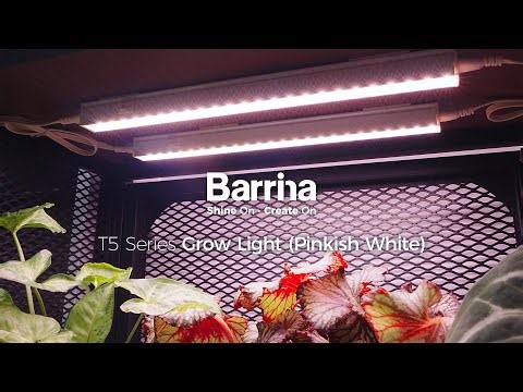 Barrina T5 Series Grow Lights Pinkish White Installation and Usage #barrina