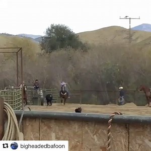 Hands down of the the craziest things I've ever seen. Not much makes me say "HOLY CRAP!" after doing @rodeowrecks for so long...but this was one of those rare occasions. #rodeo #rodeowrecks #rodeowrecksnation #timeyswreckhardtoo #steerwrestling #bulldogging #holyshit #Repost @bigheadedbafoon ・・・ My hero @volcomcowboy never jumped a steer and decides to jump a Muley! @casian_33 doin the hazin #heroesdontalwayswearcapes | Rodeo Wrecks