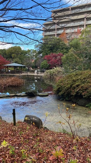 尼崎市のホームページに掲載されております。