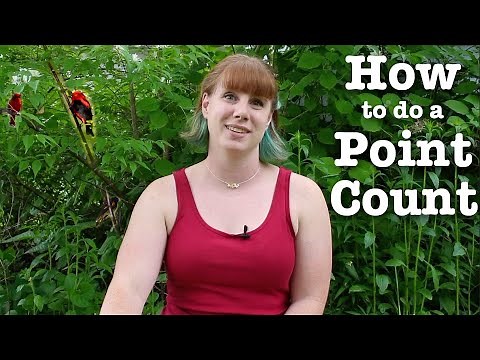Backyard Science: How to do a bird point count