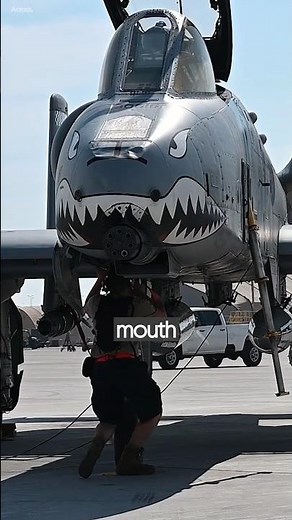 Reasons Why Military Planes Have Shark Faces