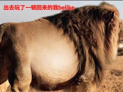 去兽聚玩了一趟回来的我…