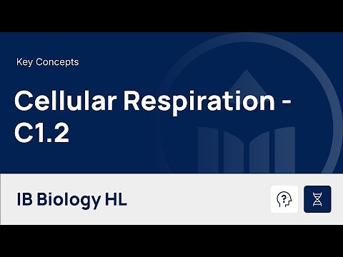 Cellular Respiration [IB Biology HL]