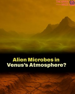 126K views · 2.5K reactions | Could life exist in the most unlikely place in our solar system—Venus? In recent years, scientists have detected unusual gases like phosphine and ammonia in the planet’s upper atmosphere, sparking a wave of debate and excitement. | The Brain Maze | Facebook