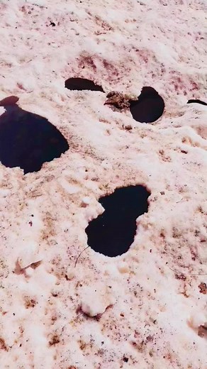 Exploring Snowy Landscapes with Unique Holes