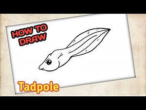 How to Draw Tadpole