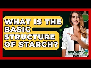 What Is The Basic Structure Of Starch? - Biology For Everyone