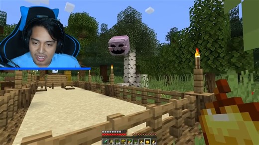 24K views · 807 reactions | Me Convertí en LUNA Amistosa en Minecraft | Arsel | Facebook