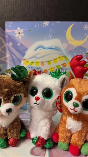 Beanie Boo Collectibles for Christmas Night