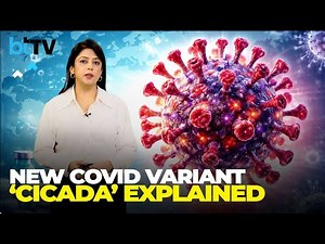 New ‘Cicada’ COVID Variant Sparks Buzz But Experts Say No Reason To Panic Yet