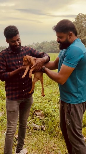 bubbles guppy farm on Instagram: "Share us your location . We deliver pets at your doorstep with care"