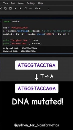 🎲 Mutating DNA: One Random Base at a Time 🧬✨