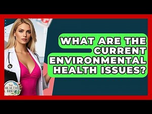 What Are The Current Environmental Health Issues? - The Health Brief
