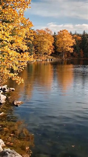 Smooth Jazz | POV: Autumn Found the Perfect Mountain Lake 🍂