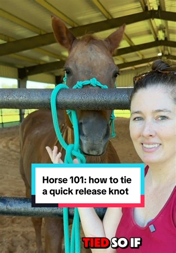 How to tie a quick release knot for horses #creatorsearchinsights #horsetraining #horsecare #horseriding #horsemanship