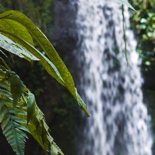 Trillions were created when infrastructure decentralized. It happened in telecom. It happened in energy. Now it's happening in water — except water is mandatory. Fund is live. Revenue is real. Pre-IPO stock match available to accredited investors. | Water On Demand