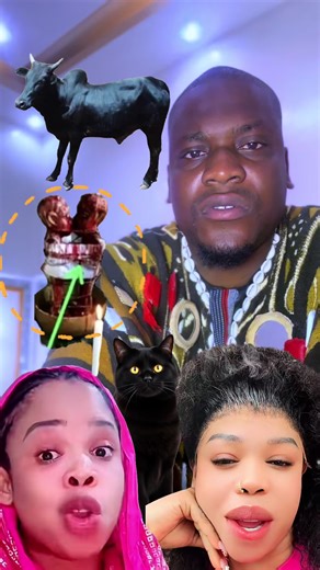 Aujourd'hui je fais quelque chose que je n'ai jamais fait en public. Je vais tester mon propre sang. Avec les méthodes traditionnelles que j'enseigne depuis des années. Vous savez, beaucoup me demandent : Thierno, est-ce que toi-même tu utilises ces remèdes ? La réponse, je vais vous la montrer maintenant. Regardez cette préparation de feuilles de kinkeliba et de neb neb. Quand on y met une goutte de sang, la réaction révèle l'état du foie. Je vais piquer mon doigt ici, devant vous. Voilà. Une g