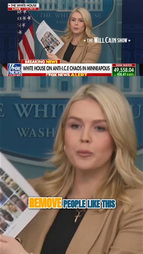 WH: These Are ‘Illegal Alien Criminals’ I.C.E. Is Trying to Remove in Minnesota WH Press Secretary Karoline Leavitt slammed Minnesota leaders for not cooperating with federal agents; holding up a picture of “illegal alien criminals” who entered the country under the previous administration. | Will Cain