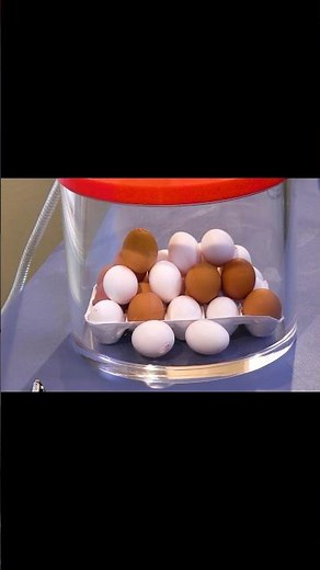 Do Eggs SURVIVE a Vacuum Chamber?
