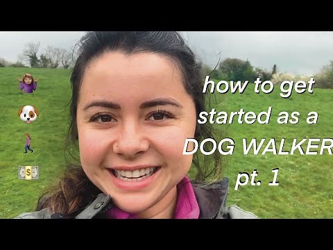 How to get started as a dog walker Part 1