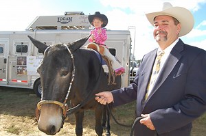 5.7K views · 91 reactions | Horses in the drive-thru? Seeing more...