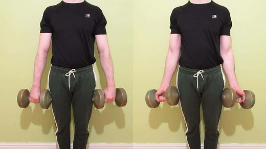 Dumbbell Wrist Twist Exercise for Forearms (Tutorial)
