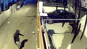 Authorities search for dog abuse suspect caught on camera in DC