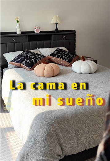 Stylish and Functional Storage Bed Ideas