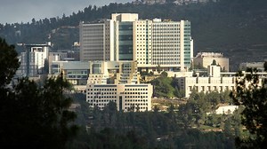 Promising stem-cell based drug for treatment of ALS receives patent | The Jerusalem Post