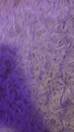 #greenscreen cutting more fidgets! #fidgets #fypシ #cuttingfidgets #fidgettoys #cutting #fidgetfun