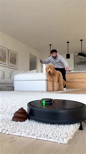 2.7K views | THE POOPOCALYPSE IS REAL!! My Robot Vacuum Turned Evil! 藍 (AI) | Productive Panda | Facebook