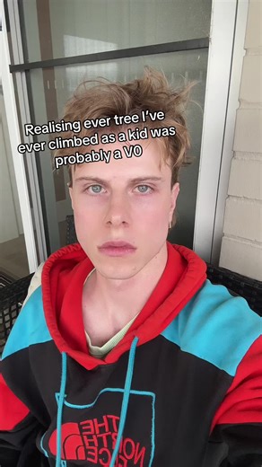 Childhood Memories of Climbing Trees