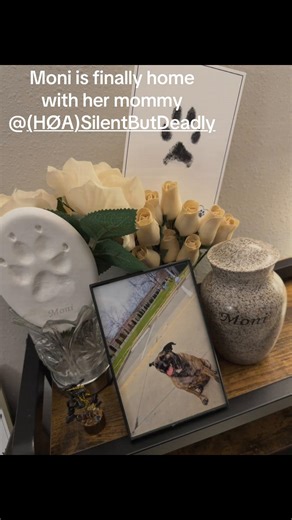 Moni is Finally back home with mommy @(HØA) SilentButDeadly