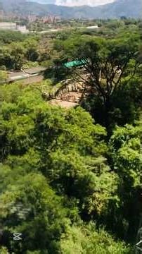 Deje su comentario la respuesta. #Feriadeganado #medellin #antioquia #yotubeshorts #humor