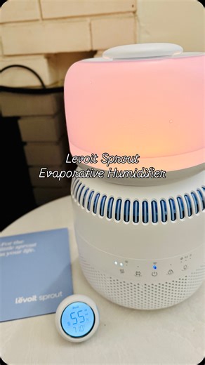 Robyn Cassimere on Instagram: "Levoit Humidifiers for the Winter Wellness Sprout Evaporative Humidifier 💦 Humidifiers help you stay healthier in the winter 💦 No more nighttime stuffy noses 💦 No more dry skin 💦 No mist, smart humidity control via VeSync app 💦 So needed during this time of heaters and fireplaces 💦 Use Our Code: MOMMI10 @levoitlifestyle #levoit #levoitlifestyle"