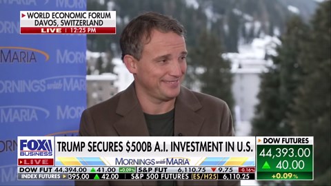 AI can do so much to drive productivity: SAP CEO