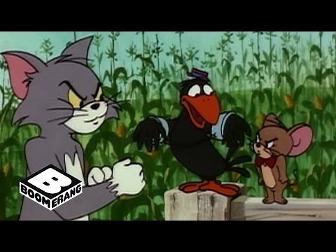 Tom and Jerry | Crow Crisis | Boomerang Official